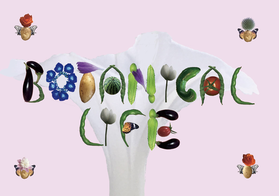 Botanical life