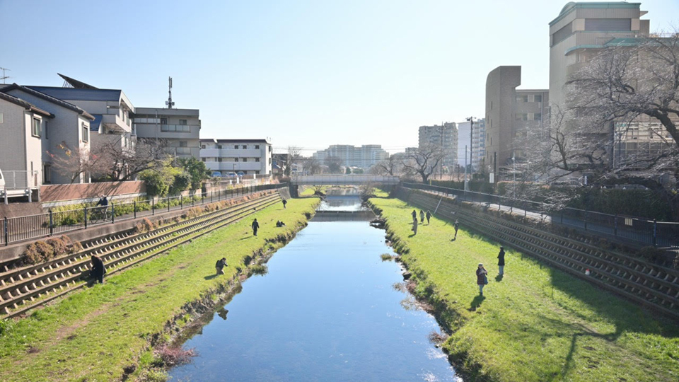 鳥籠の中の人々