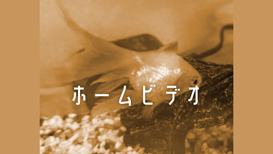 ホームビデオ