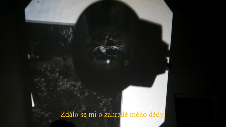 Zdál se mi sen